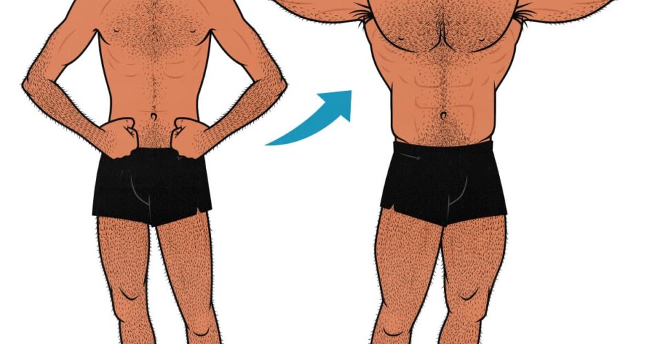 رژیم چاقی هوش مصنوعی