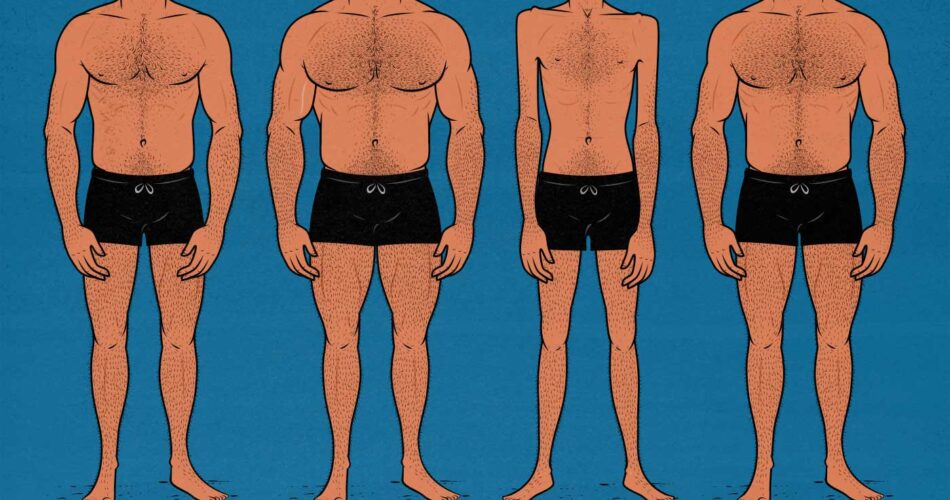 تشخیص فرم هیکل