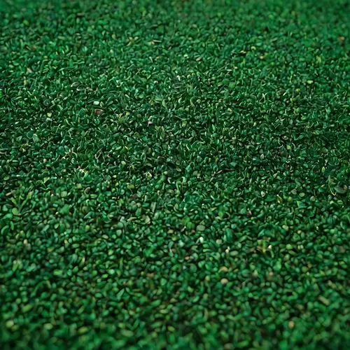 روانشناسی رنگ سبز