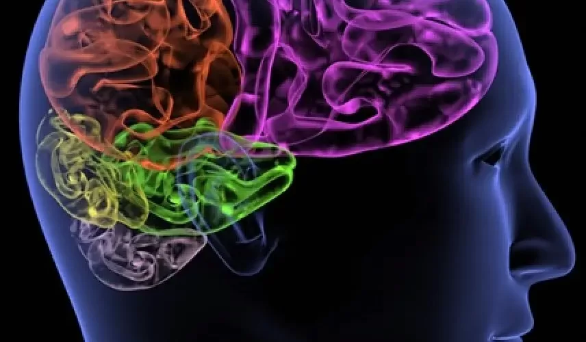 روانشناسی شناختی استرنبرگ