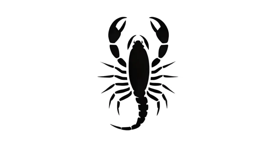 تعبیر خواب عقرب سیاه