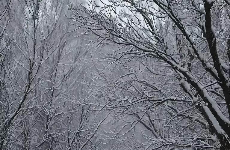 تعبیر خواب برف باریدن با هوش مصنوعی