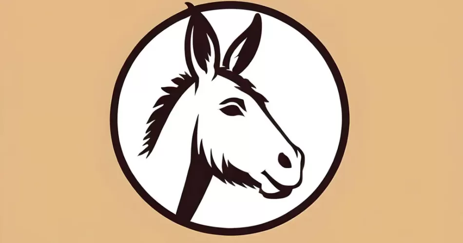 خواص گوشت خر