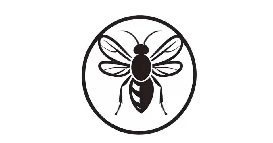 تولد همزمان دو گونه از زنجرهها در سال ۲۰۲۴